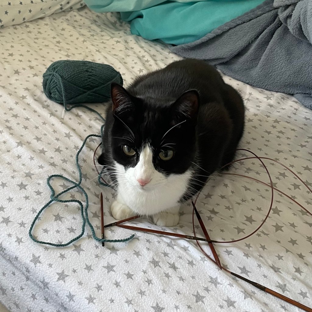 WIP Wednesday (February ‘25)