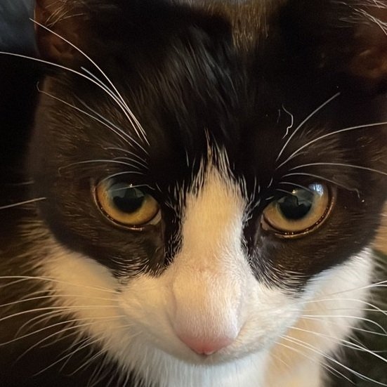 December ‘24 Update